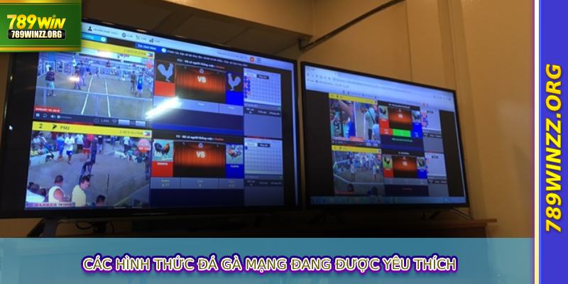 Các hình thức đá gà mạng đang được yêu thích