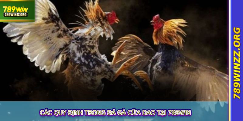 Các quy định trong đá gà cữa dao tại 789WIN