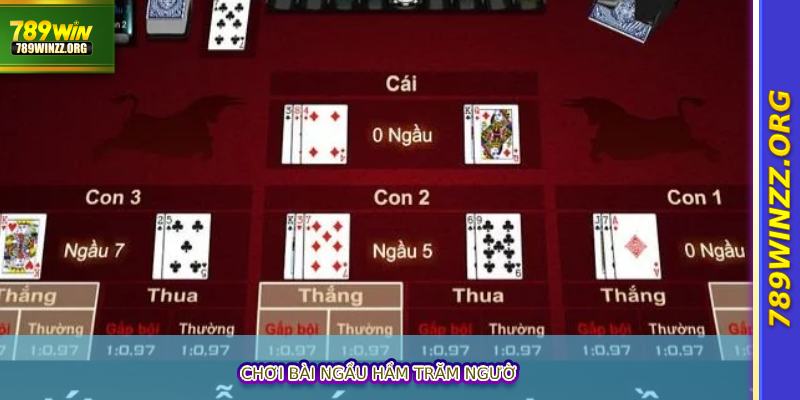 Chơi Bài Ngầu hầm Trăm Ngườ