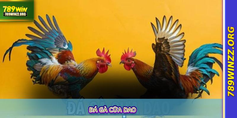 Đá Gà Cữa Dao