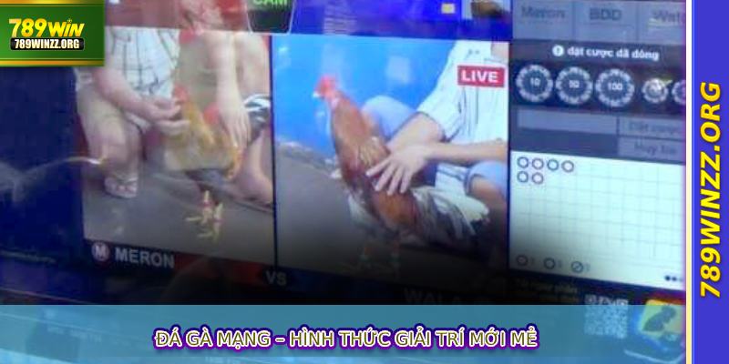 Đá gà mạng – hình thức giải trí mới mẻ