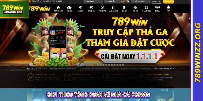 Giới thiệu tổng quan về nhà cái 789WIN