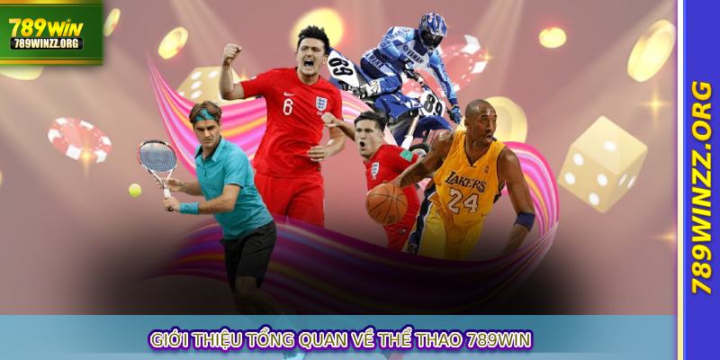 Giới thiệu tổng quan về thể thao 789WIN