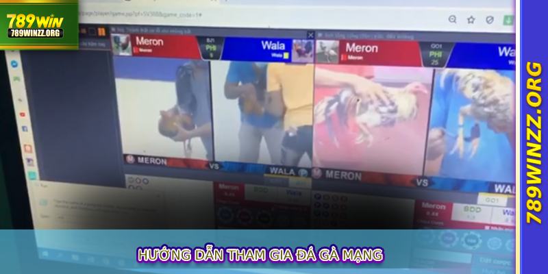 Hướng dẫn tham gia đá gà mạng gia da ga mang