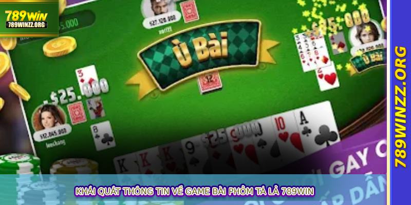 Khái quát thông tin về game bài phỏm tá lả 789WIN