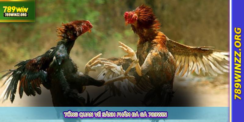Tổng quan về sảnh phẩm Đá gà 789win